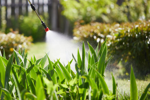 24/7 Emergency Cockroach Control experts in Oakland, IA